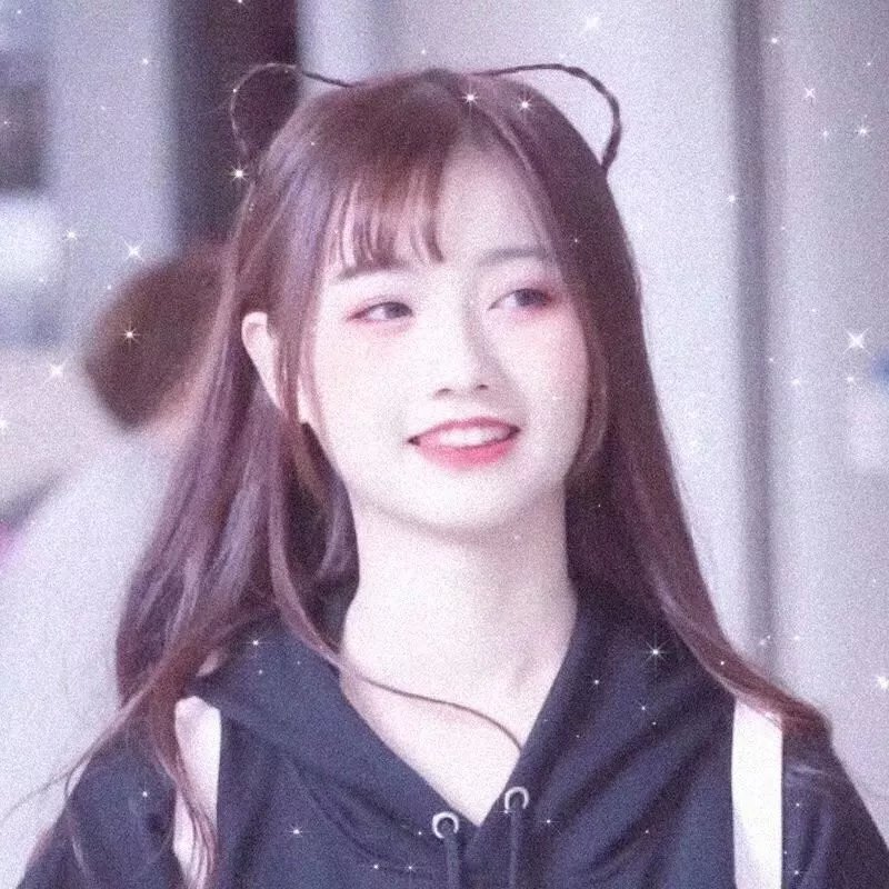 狐狸女士第二季
